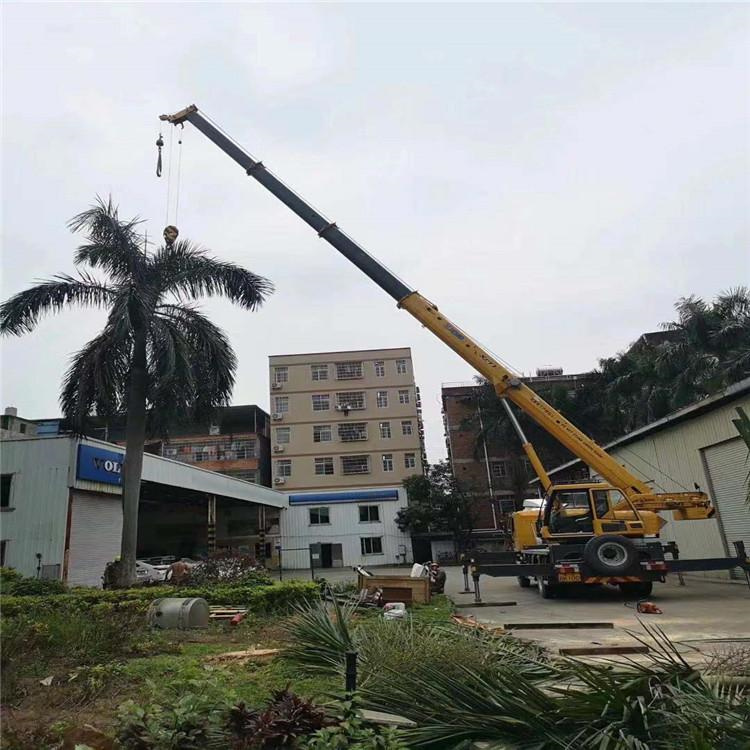 南丹吊车吊大树几种方法